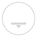 Micrometer scale plate